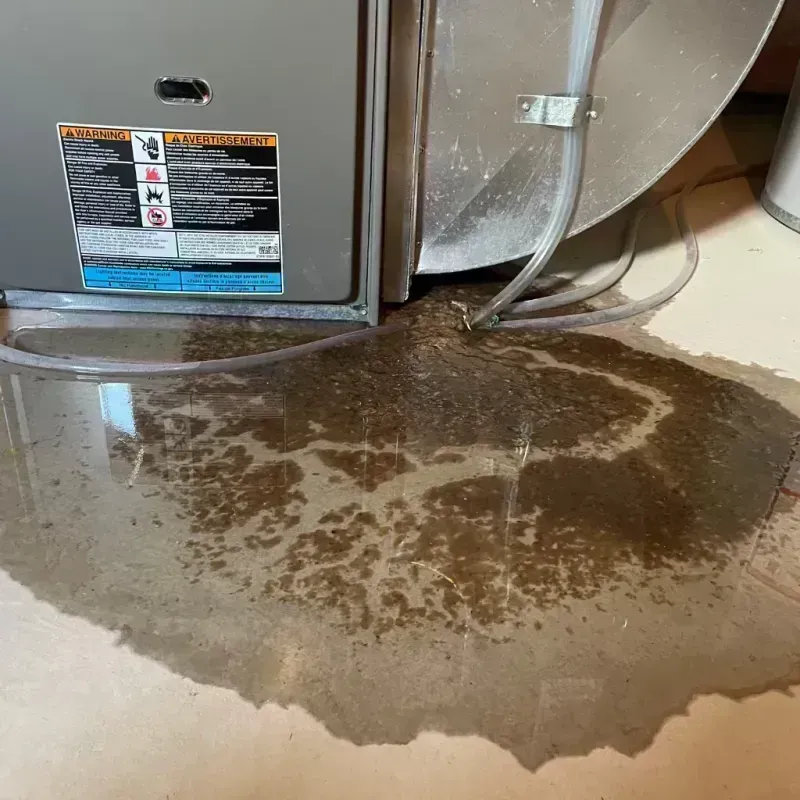 Appliance Leak Cleanup in De Soto, MO